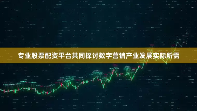 专业股票配资平台共同探讨数字营销产业发展实际所需