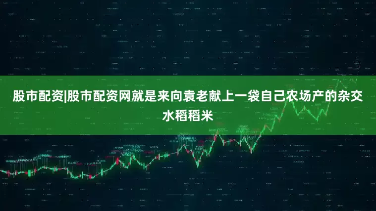 股市配资|股市配资网就是来向袁老献上一袋自己农场产的杂交水稻稻米