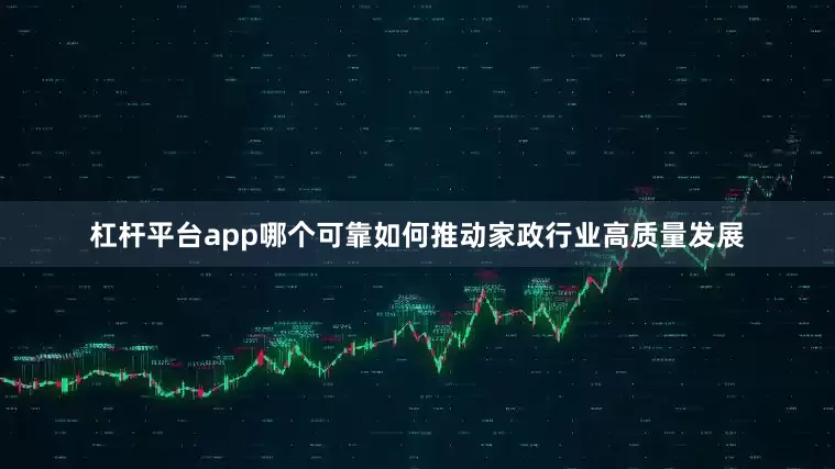 杠杆平台app哪个可靠如何推动家政行业高质量发展