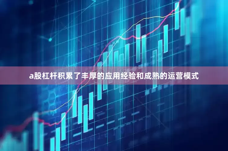 a股杠杆积累了丰厚的应用经验和成熟的运营模式