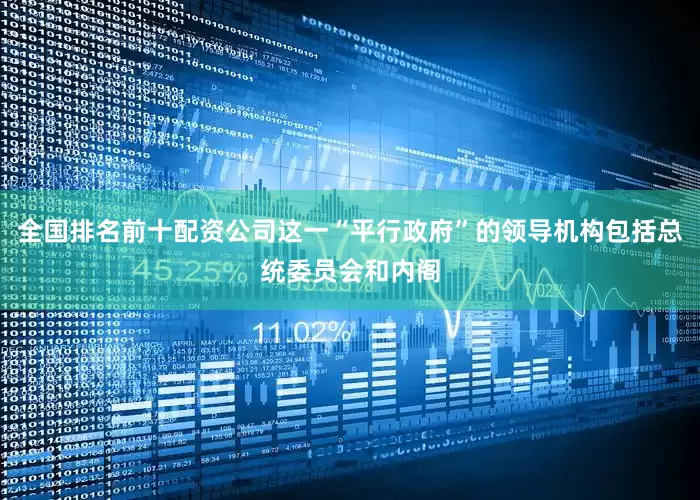 全国排名前十配资公司这一“平行政府”的领导机构包括总统委员会和内阁