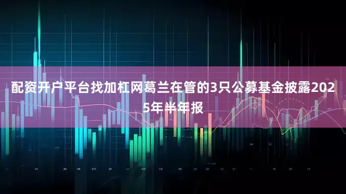 配资开户平台找加杠网葛兰在管的3只公募基金披露2025年半年报