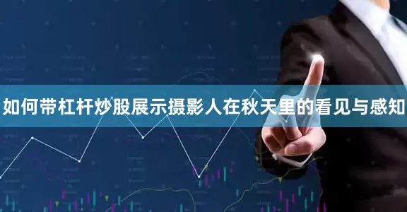 如何带杠杆炒股展示摄影人在秋天里的看见与感知
