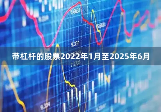 带杠杆的股票2022年1月至2025年6月