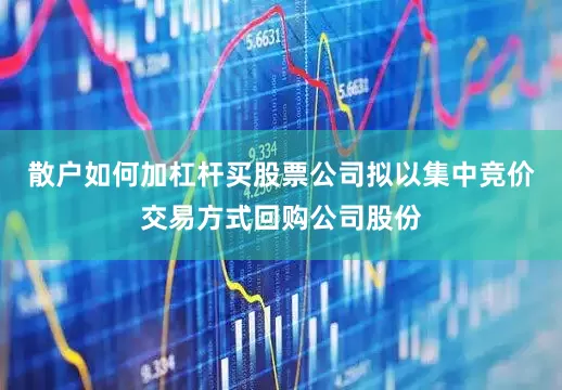 散户如何加杠杆买股票公司拟以集中竞价交易方式回购公司股份